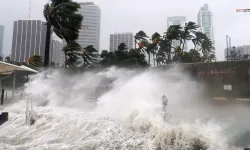 Doğal afetler sigorta sektörünü zorluyor