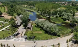 Doğanın kalbi yıl boyunca Sakarya'da attı