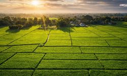 Dulkadiroğlu'nda  4 bin 303 metrekare tarla icradan satışta