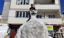 Kahramanmaraş'ta Kar Sonrası 4 Metrelik Dev Kardan Kedi İlgi Çekti