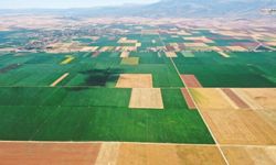 Elbistan’da 9 bin 690 metrekare tarım arazisi icradan satışta