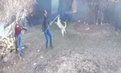 Köpek Götürme Görüntüsü Tartışma Yarattı