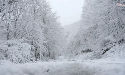 Göksun’da Gece Soğuğu Sertleşti, Sıcaklık Eksiye İndi