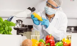 Gıda katkı maddelerine yeni düzenleme