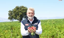Kahramanmaraş’ta çiftçiye 2025’te 100 milyon TL destek