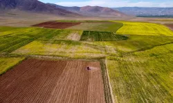 Kahramanmaraş'ta icradan çiftlik satılacak: Mahkeme bu rakamı getirene verecek!