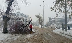 Kahramanmaraş’ta kar sonrası kırılan ağaç dallarına anında müdahale