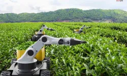 2026 'Kamusal Zekâ Yılı' İlan Edildi