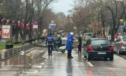 Lodosa Karşı Koordineli Müdahale