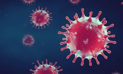 Koronavirüsten sonra yeni pandemi yolda mı? Uzmanlardan kritik uyarı