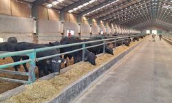 İl genelinde 2025 yılı kırsal kalkınma yatırımları tamamlandı