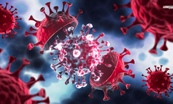 Candida Auris Alarmı: Dirençli Mantar 60 Ülkeye Yayıldı