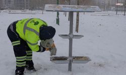 Şehitkamil Belediyesi sokak hayvanlarını yalnız bırakmadı