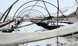 Türkoğlu’nda Yoğun Kar Seralara Zarar Verdi