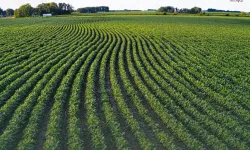 TAKE ile tarım arazileri daha verimli kullanılıyor