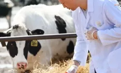 Tarımda maliyet yükü artıyor!