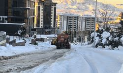 Kahramanmaraş’ta buzlanmaya karşı tuzlama ve solüsyon mesaisi sürüyor