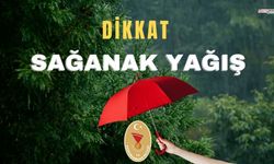 Valilik uyardı! Kar ve sağnak yağmur kapıda