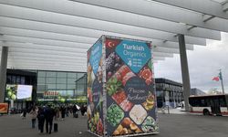 Organik Devleri Nürnberg’de Sahne Aldı