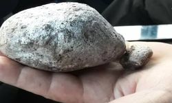 Gören Sıradan Bir Taş Sanıyor, Bulan Köşeyi Dönüyor