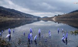 Bahar Yaklaşıyor, İkinci Cemre Suya Düştü