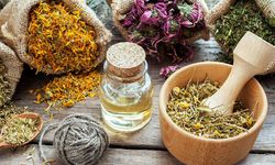 Toprakta kendiliğinden yetişiyor: Pek çok derde deva olduğu açıklandı!