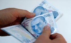 Bu iki işi yapanlar artık günde 4 bin lira kazanmaya başladı!