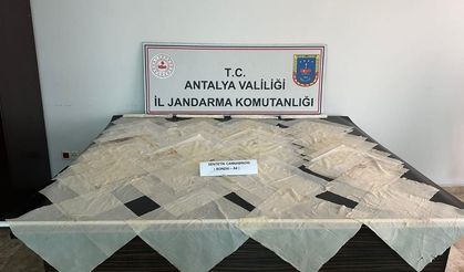 Piyasa değeri 2 milyon TL olan bonzai ele geçirildi
