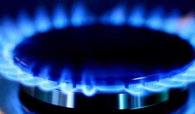 BOTAŞ doğal gaz satışlarına zam yapılmadığını açıkladı