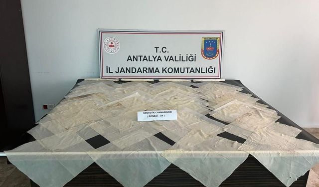 Piyasa değeri 2 milyon TL olan bonzai ele geçirildi