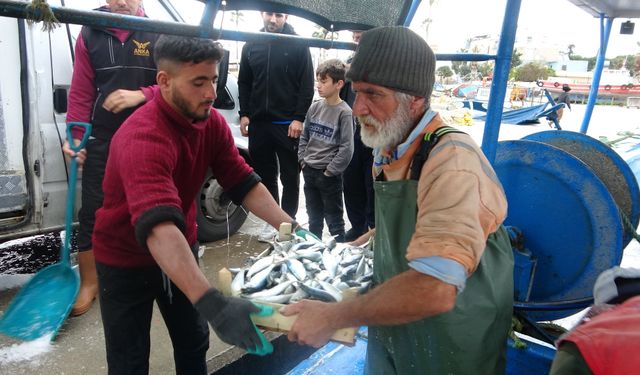 Balıkçılar, balon balığı avcılığına yönelik teşvikten memnun