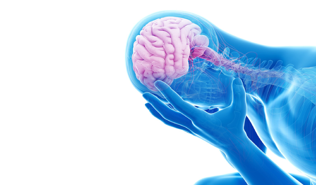 Stresin beyindeki etkileri araştırıldı