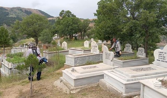 Ekinözü’nde mezarlıklar temizleniyor