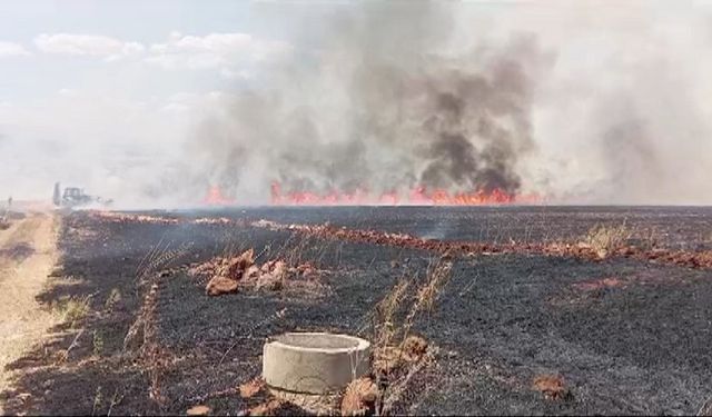 Kahramanmaraş'ta buğday tarlasında yangın