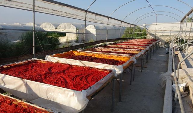 Mersin'de biber salçası üretimi başladı