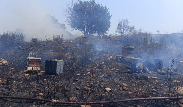 Manavgat'ta 4 dönüm kızılçam ormanı yandı