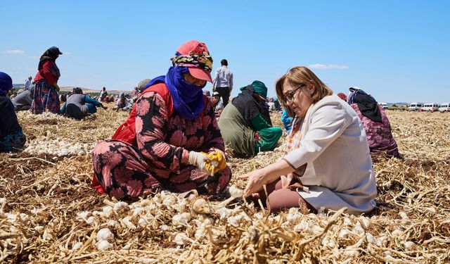 Gaziantep'te "Haydi Tarladan Sofraya" projesi ile çiftçi ile tüketici buluşturulacak