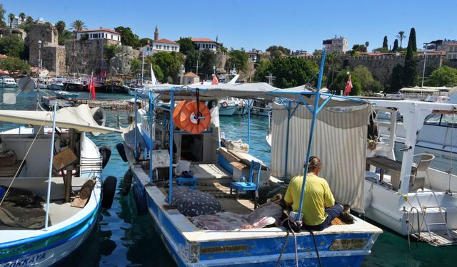 Antalya'da rekor sıcaklık denizdeki balık türlerini ve omurgasız canlıları yok ediyor