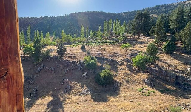 Kömürlü Vatandaşlar, Başkan Cüce’den yardım istiyor