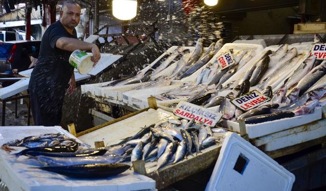 Balık fiyatlarında düşüş başladı