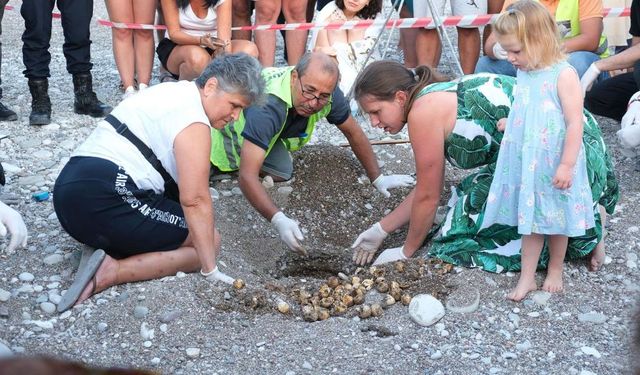 Çıralı'da caretta caretta rekoru