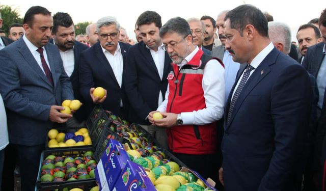 Bakan Yumaklı, narenciye hasadında sezon açılışını yaptı