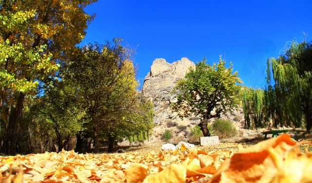 Kahramanmaraş'ta Hurman Kalesi sarıya büründü