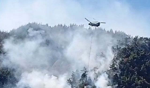 Kahramanmaraş’ta sarp arazideki yangın 3 gündür sürüyor