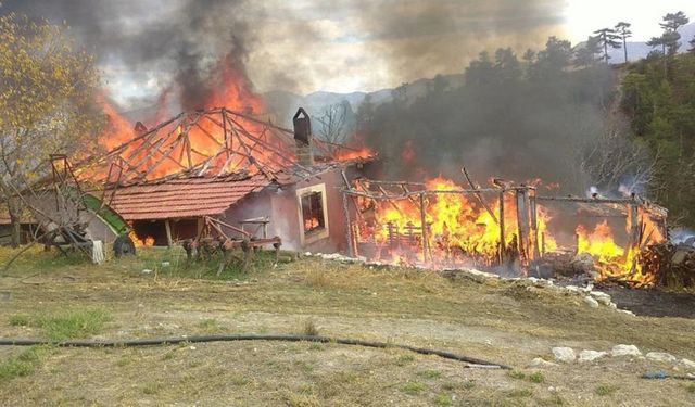 Otları Yakmak İsterken Evi Yandı: Yaşlı Adam Yaralandı