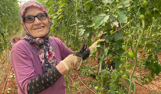 Azmiyle hayran bırakan yaşlı kadının ayakta durma mücadelesi