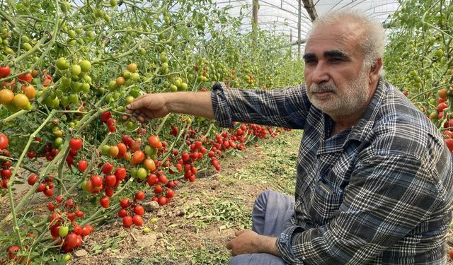 Üreticiden fiyat farkına tepki
