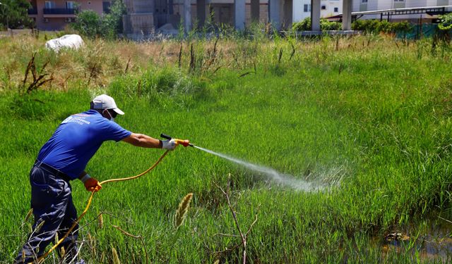 Havaların Isınmasıyla Birlikte İlaçlama Çalışmaları Hız Kazandı