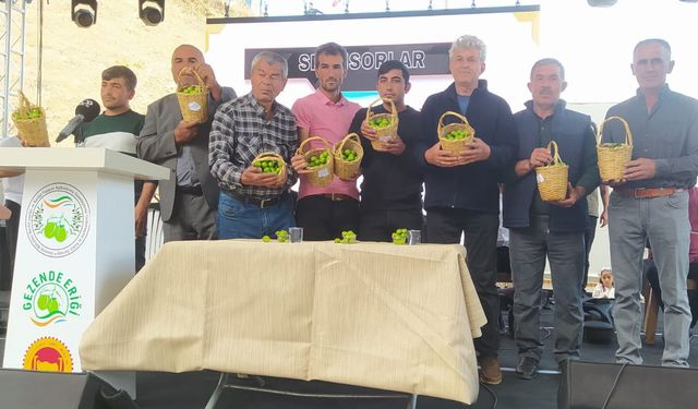 Erik Festivali'nin 15'incisi Gerçekleştirildi