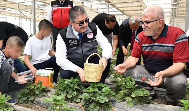 Çilek Serasında Nesiller Arası Dayanışma